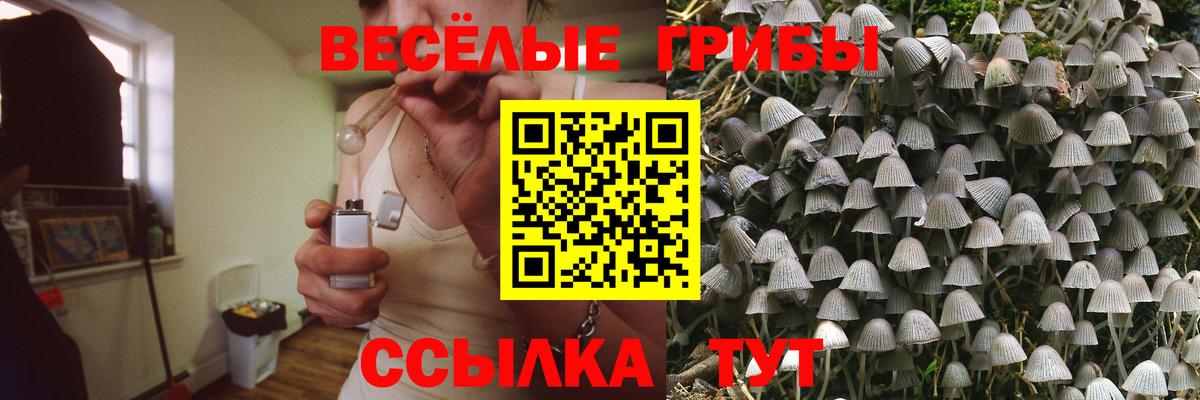 Псилоцибиновые грибы Magic Shrooms Домодедово